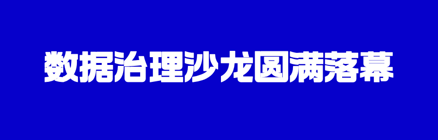 「数治筑基·模力未来」——2025数据治理&分析与AI创新实战沙龙在京成功举办